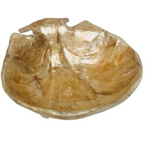 Clam Shape Faux Capiz Shell Decorative Bowl Beach House Summer Decor 5.5”
